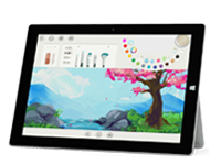博尔塔拉Surface 无法开启、Windows 无法启动或电池无法充电