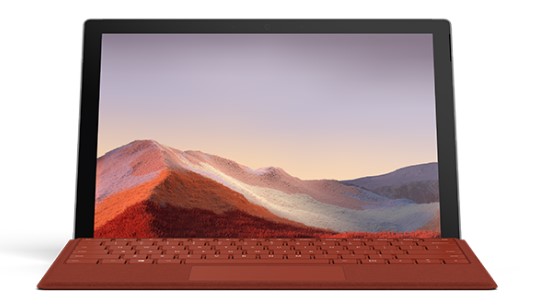 博尔塔拉清洁和维护 Surface